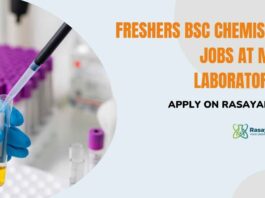 MSN Labs Freshers BSc Chemistry Jobs - Apply on Rasayanika