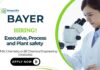 Chemical Engineering Jobs at Bayer Apply Now For The Project Engineer Role