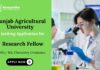 Research Fellow at Punjab Agricultural University – Chemistry Candidates Apply Chemistry Job Punjab Agricultural University Recruitment Ludhiana Recruitment 2025
