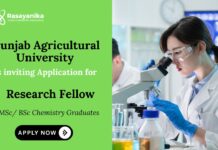 Research Fellow at Punjab Agricultural University – Chemistry Candidates Apply Chemistry Job Punjab Agricultural University Recruitment Ludhiana Recruitment 2025