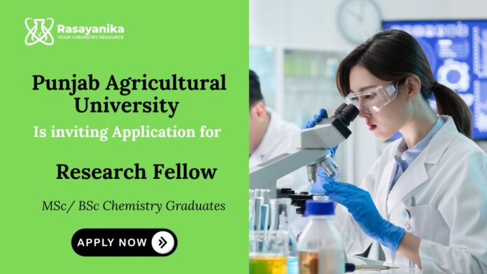 Chemistry Job Punjab Agricultural University Recruitment Ludhiana Recruitment 2025 Chemistry Job Punjab Agricultural University Recruitment Ludhiana Recruitment 2025
