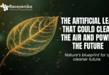 Dark Green Modern Tutorial YouTube Thumbnail