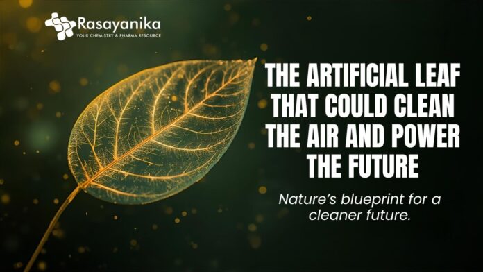 Dark Green Modern Tutorial YouTube Thumbnail