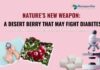 Nature’s New Weapon: A Desert Berry That May Fight Diabetes Nature’s New Weapon A Desert Berry That May Fight Diabetes