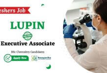 Freshers Jobs at Lupin | Apply for Executive Jobs