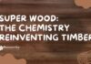 Super Wood: The Chemistry Reinventing Timber Super Wood: The Chemistry Reinventing Timber
