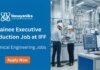 Trainee Executive Jobs at IFF | Chemical Engineering Candidates Apply Now