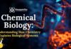 Chemical Biology: Understanding How Chemistry Explains Biological Systems