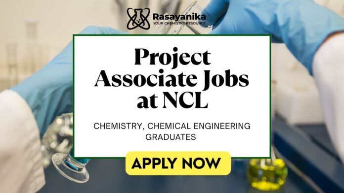 Project Associate Jobs at NCL | Apply Now Project Associate Jobs at NCL | Apply Now