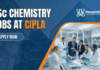 Junior Officer – Packing | Cipla Careers in Sikkim For Chemistry BSc Chemistry Jobs at Cipla | Apply Now For the Role