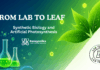 From Labs to Leaves: Advancing Synthetic Biology and Artificial Photosynthesis From Lab to Leaf: Synthetic Biology and Artificial Photosynthesis