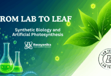 From Labs to Leaves: Advancing Synthetic Biology and Artificial Photosynthesis From Lab to Leaf: Synthetic Biology and Artificial Photosynthesis