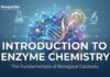 Introduction to Enzyme Chemistry