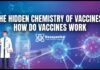 The Hidden Chemistry of Vaccines: How Do Vaccines Work? The Hidden Chemistry of Vaccines: How Do Vaccines Work?