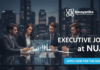 Executive Job at Nua | Apply Now For The Role 