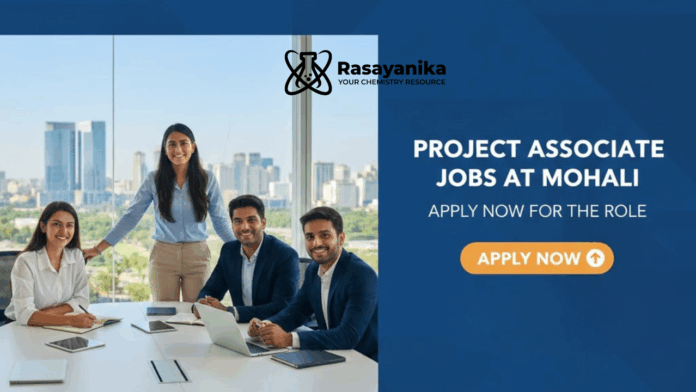 Project Associate Jobs at Mohali | Apply Now For The Role 