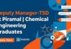 Piramal Careers: Deputy Manager & Chemical Engineering Jobs | Apply Now