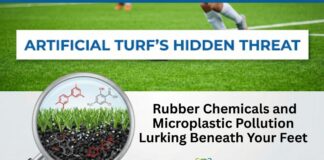 Artificial Turf’s: Rubber Chemicals and Microplastic Pollution