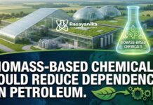Biomass-Based Chemicals Could Reduce Usage on Petroleum