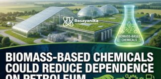 Biomass-Based Chemicals Could Reduce Usage on Petroleum