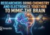 Chemistry and Electronics Unite to Mimic the Brain