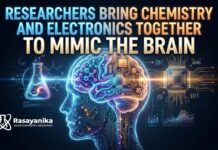 Chemistry and Electronics Unite to Mimic the Brain
