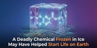 Deadly Chemical: Hydrogen Cyanide Helped Start Life on Earth