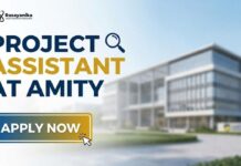 Amity Careers: Project Assistant Jobs | Apply Now