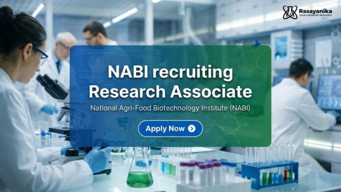 NABI Recruitment 2026: Research Associate Jobs | Chemical Sciences Candidates Apply Now NABI Recruitment 2026: Research Associate Jobs | Chemical Sciences Candidates Apply Now