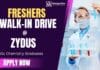 BSc Chemistry Freshers Job at Zydus | Attend the Walk-In Interview 