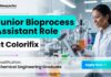 Chemical Engineering Job at Colorifix | Junior Assistant Role