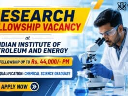 Research Fellowship at IIPE | Government Fellowship