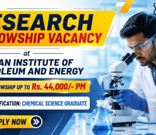 Research Fellowship at IIPE | Government Fellowship