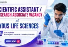 Research Associate Job at Zydus | MSc Chemistry Job in API R&D