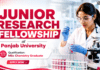 Panjab University Recruitment: Research Fellow Jobs