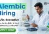 API Production Jobs at Alembic | Chemistry Jobs Apply Now API Production Jobs through Alembic Careers. Explore exciting Chemistry Jobs for B.Sc., M.Sc., and Chemical Engineering candidates.