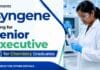 Senior Executive Job at Syngene | Chemical Sciences Jobs in Bangalore Syngene Careers is hiring for a Senior Executive Job in Bangalore. Apply now and explore exciting Chemical Sciences Jobs with a global research organization.