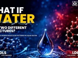 AI Finds Strong Evidence That Liquid Water May Contain Two Different Molecular Structures Artificial Intelligence Uncovers Two Hidden Molecular Structures in WaterÂ