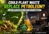 Green chemistry breakthrough enables lignin from plant waste to become a renewable alternative to petroleum-based chemical production.