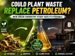 Green chemistry breakthrough enables lignin from plant waste to become a renewable alternative to petroleum-based chemical production.