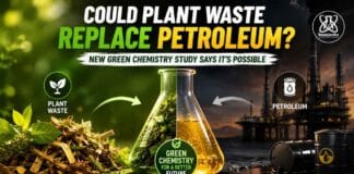 Forget Petroleum? Green Chemistry Finds a Better Use for Plant Waste Green chemistry breakthrough enables lignin from plant waste to become a renewable alternative to petroleum-based chemical production.