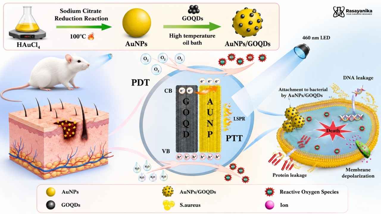 Schematic illustration of AuNPs/GOQDs-mediated antibacterial wound healing under blue-light irradiation.