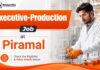 Piramal Hiring Senior Executive Production | Chemical Engineering Job Chemical Engineering Jobs at Piramal | Production Executive Role