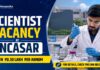Scientist Vacancy at JNCASR. Explore Research Jobs, qualifications, responsibilities, eligibility and application details.