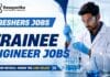 NNE Trainee Engineer Jobs | Freshers Job Opportunity in Bengaluru NNE trainee engineer jobs are open in Bengaluru for fresh graduates in mechanical, chemical, or related engineering disciplines. Apply now.