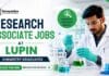 Research Associate Jobs at Lupin | Bioanalytical Role Research Associate Jobs at Lupin Careers. Apply for the Bioanalytical role for Analytical Chemistry Jobs in Pune. Check eligibility and apply.