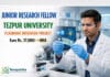 Junior Research Fellow at Tezpur University | Plasmonic Biosensor / Flexible Substrate | Apply by 21 Sep | Earn Rs 37,000/- + HRA
