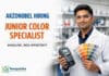 AkzoNobel Hiring Junior Color Specialist | Apply Now