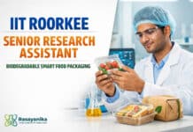 Senior Research Assistant at IIT Roorkee | Biodegradable Smart Food Packaging | Apply by 1 Oct | Earn Rs 28,000/-