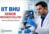 Senior Research Fellow Medicinal Chemistry at IIT BHU | Apply by 25 Sep